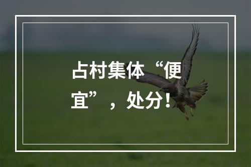 占村集体“便宜”，处分！