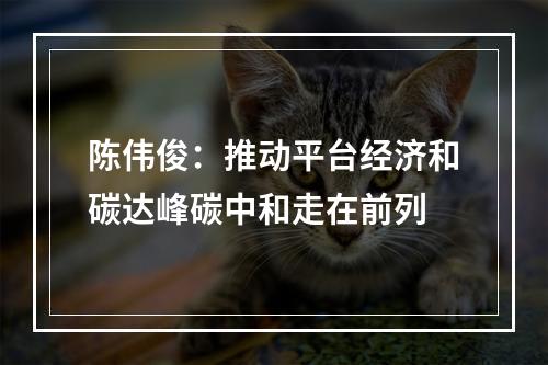 陈伟俊：推动平台经济和碳达峰碳中和走在前列