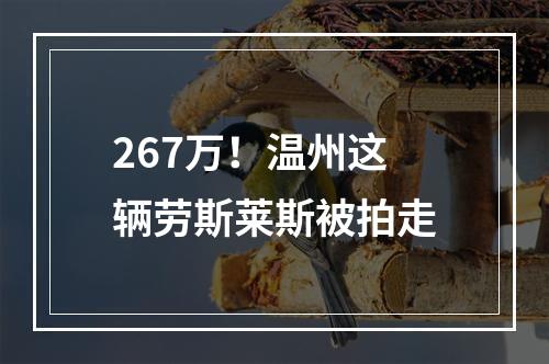 267万！温州这辆劳斯莱斯被拍走