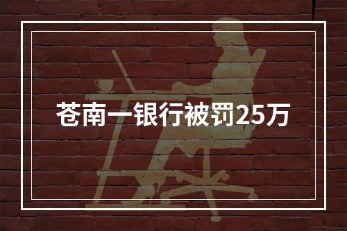 苍南一银行被罚25万