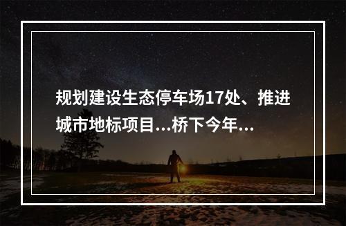 规划建设生态停车场17处、推进城市地标项目...桥下今年这么干！