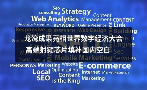 龙湾成果亮相世界数字经济大会 高端射频芯片填补国内空白