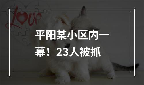 平阳某小区内一幕！23人被抓