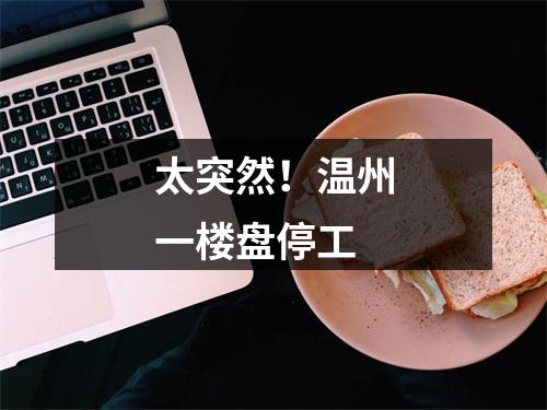 太突然！温州一楼盘停工