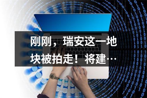 刚刚，瑞安这一地块被拍走！将建…