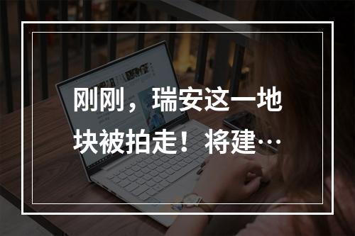 刚刚，瑞安这一地块被拍走！将建…