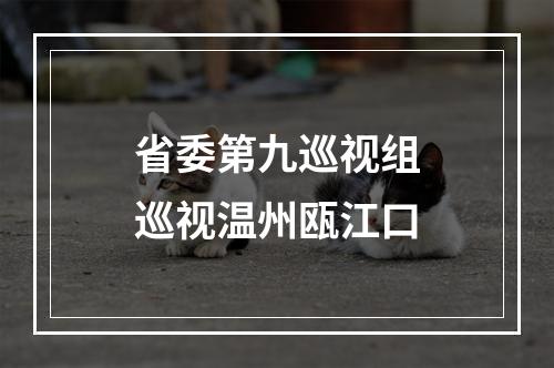 省委第九巡视组巡视温州瓯江口