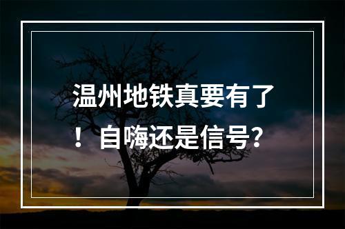 温州地铁真要有了！自嗨还是信号？