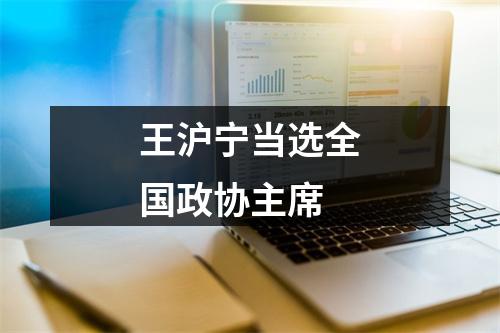 王沪宁当选全国政协主席