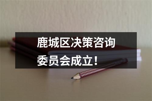鹿城区决策咨询委员会成立！