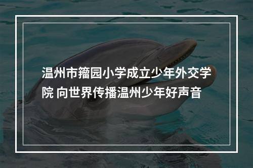 温州市籀园小学成立少年外交学院 向世界传播温州少年好声音