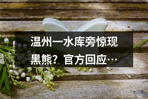 温州一水库旁惊现黑熊？官方回应…