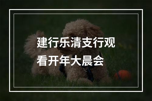 建行乐清支行观看开年大晨会