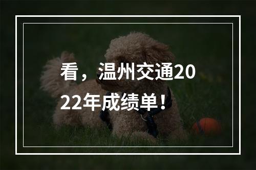 看，温州交通2022年成绩单！