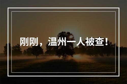 刚刚，温州一人被查！