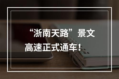 “浙南天路”景文高速正式通车！