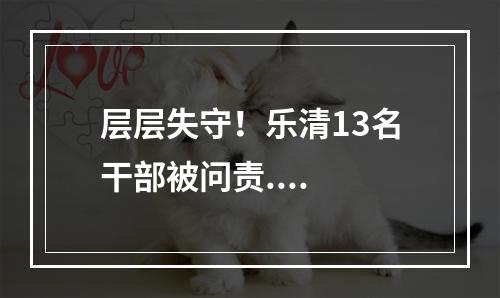 层层失守！乐清13名干部被问责....