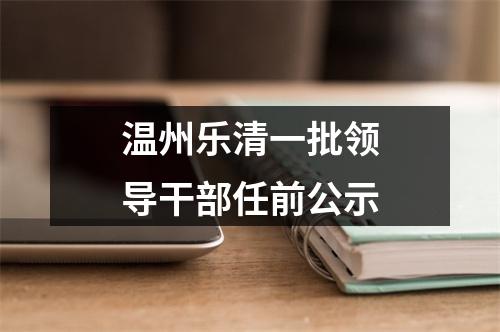 温州乐清一批领导干部任前公示