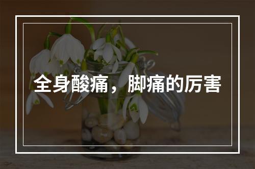 全身酸痛，脚痛的厉害