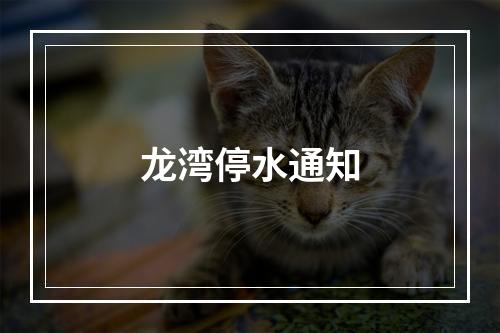 龙湾停水通知