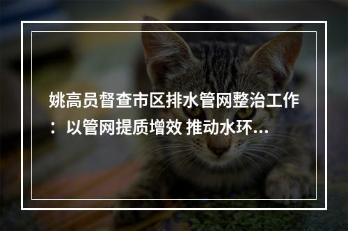 姚高员督查市区排水管网整治工作：以管网提质增效 推动水环境持续改善
