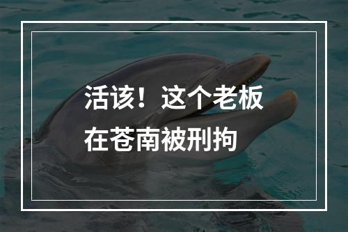 活该！这个老板在苍南被刑拘