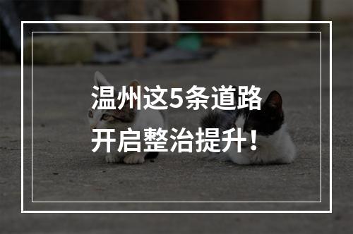 温州这5条道路开启整治提升！