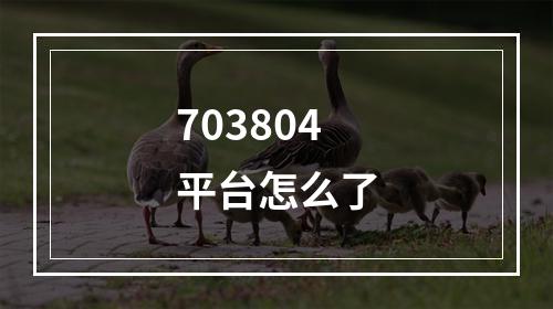 703804平台怎么了