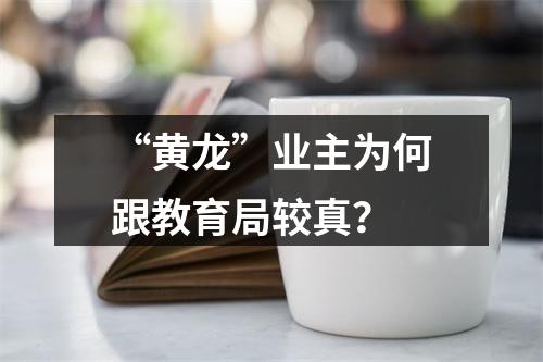 “黄龙”业主为何跟教育局较真？