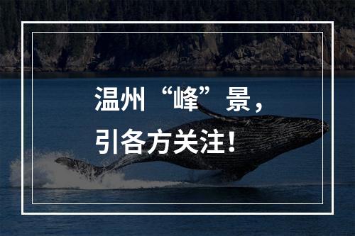 温州“峰”景，引各方关注！