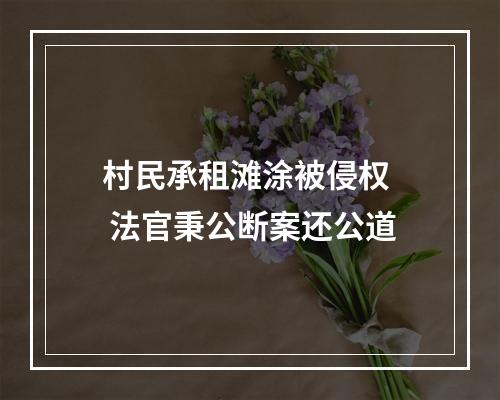 村民承租滩涂被侵权  法官秉公断案还公道
