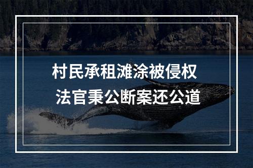 村民承租滩涂被侵权  法官秉公断案还公道