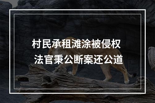 村民承租滩涂被侵权  法官秉公断案还公道