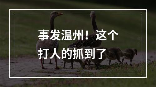 事发温州！这个打人的抓到了