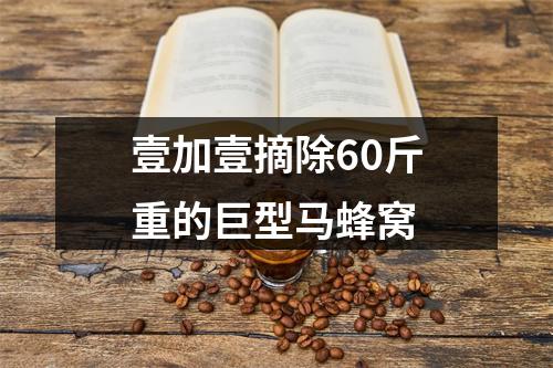 壹加壹摘除60斤重的巨型马蜂窝