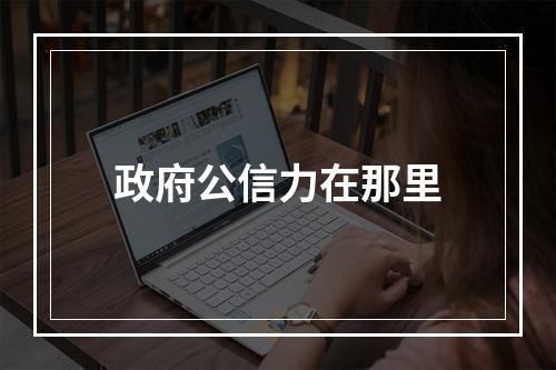 政府公信力在那里