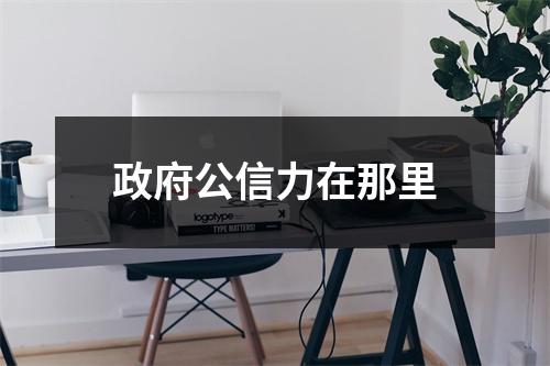 政府公信力在那里