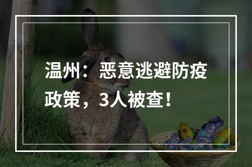 温州：恶意逃避防疫政策，3人被查！