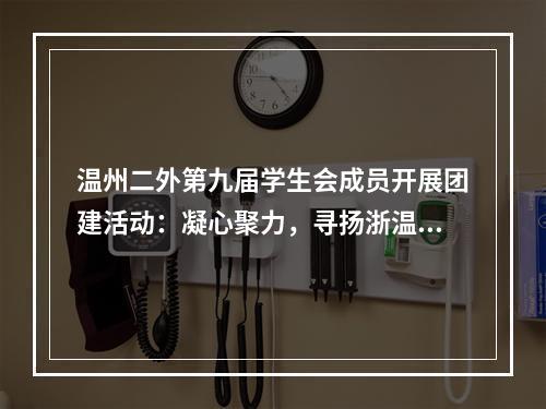 温州二外第九届学生会成员开展团建活动：凝心聚力，寻扬浙温革命和优秀传统文化