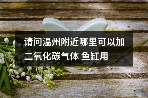 请问温州附近哪里可以加二氧化碳气体 鱼缸用