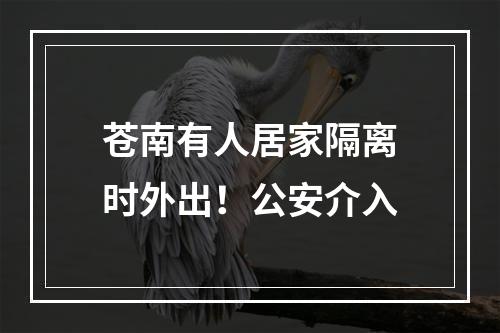 苍南有人居家隔离时外出！公安介入