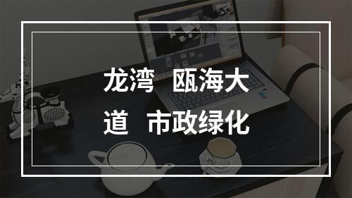龙湾   瓯海大道   市政绿化