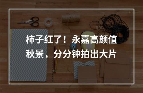 柿子红了！永嘉高颜值秋景，分分钟拍出大片