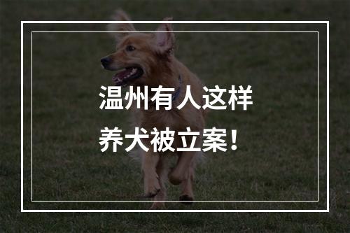 温州有人这样养犬被立案！