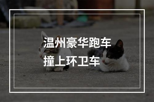 温州豪华跑车撞上环卫车