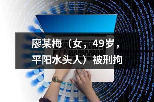 廖某梅（女，49岁，平阳水头人）被刑拘