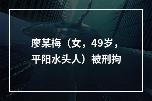 廖某梅（女，49岁，平阳水头人）被刑拘