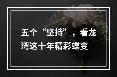 五个“坚持”，看龙湾这十年精彩蝶变