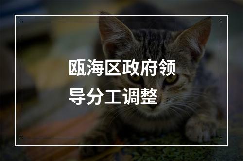 瓯海区政府领导分工调整