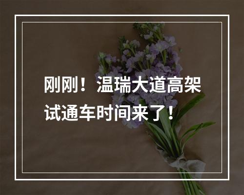 刚刚！温瑞大道高架试通车时间来了！
